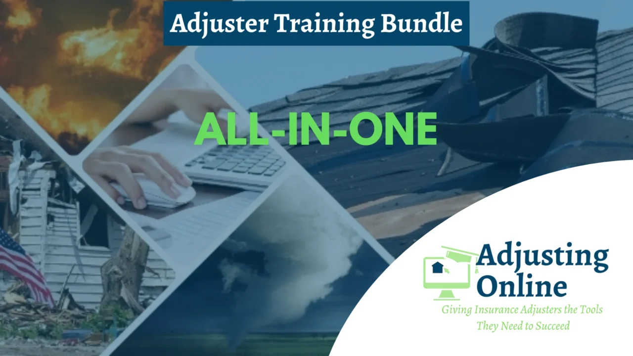 Courses | Adjusting Online | Training & Mentorship